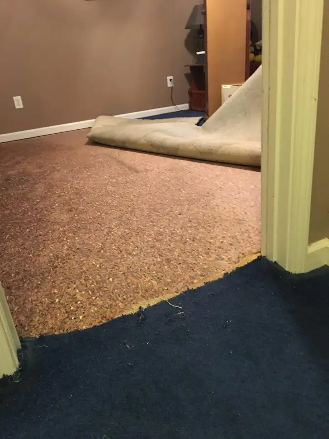 Carpet pad removal revealing water damage during Drying & Dehumidification in Godfrey