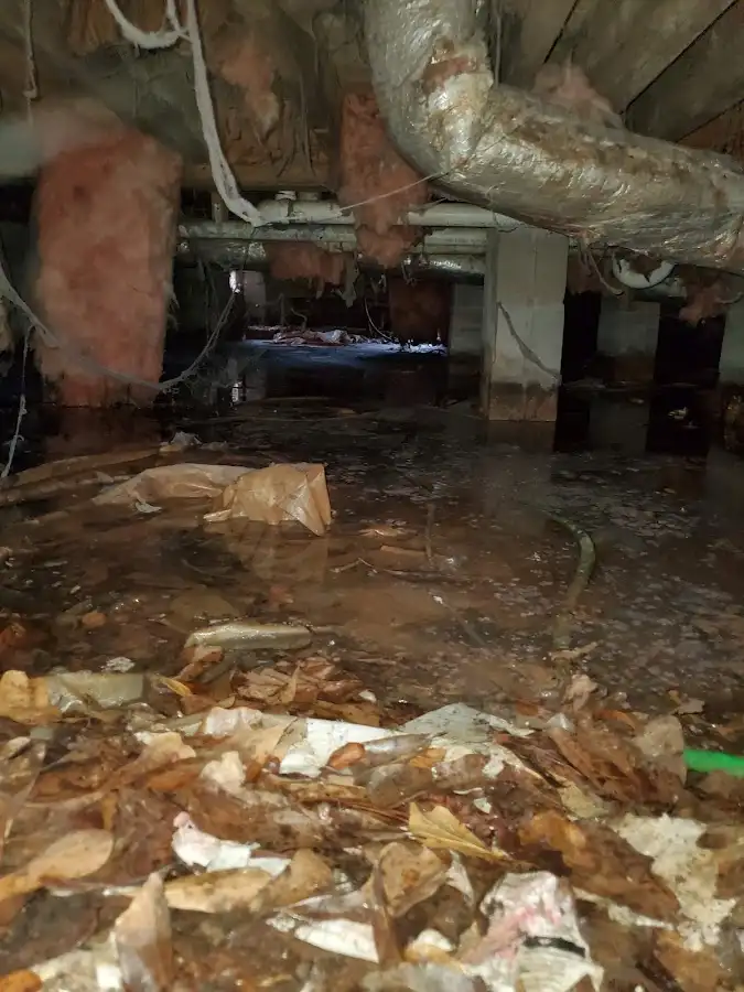 Crawl space flood assessment for Commercial Water Damage Restoration in Godfrey